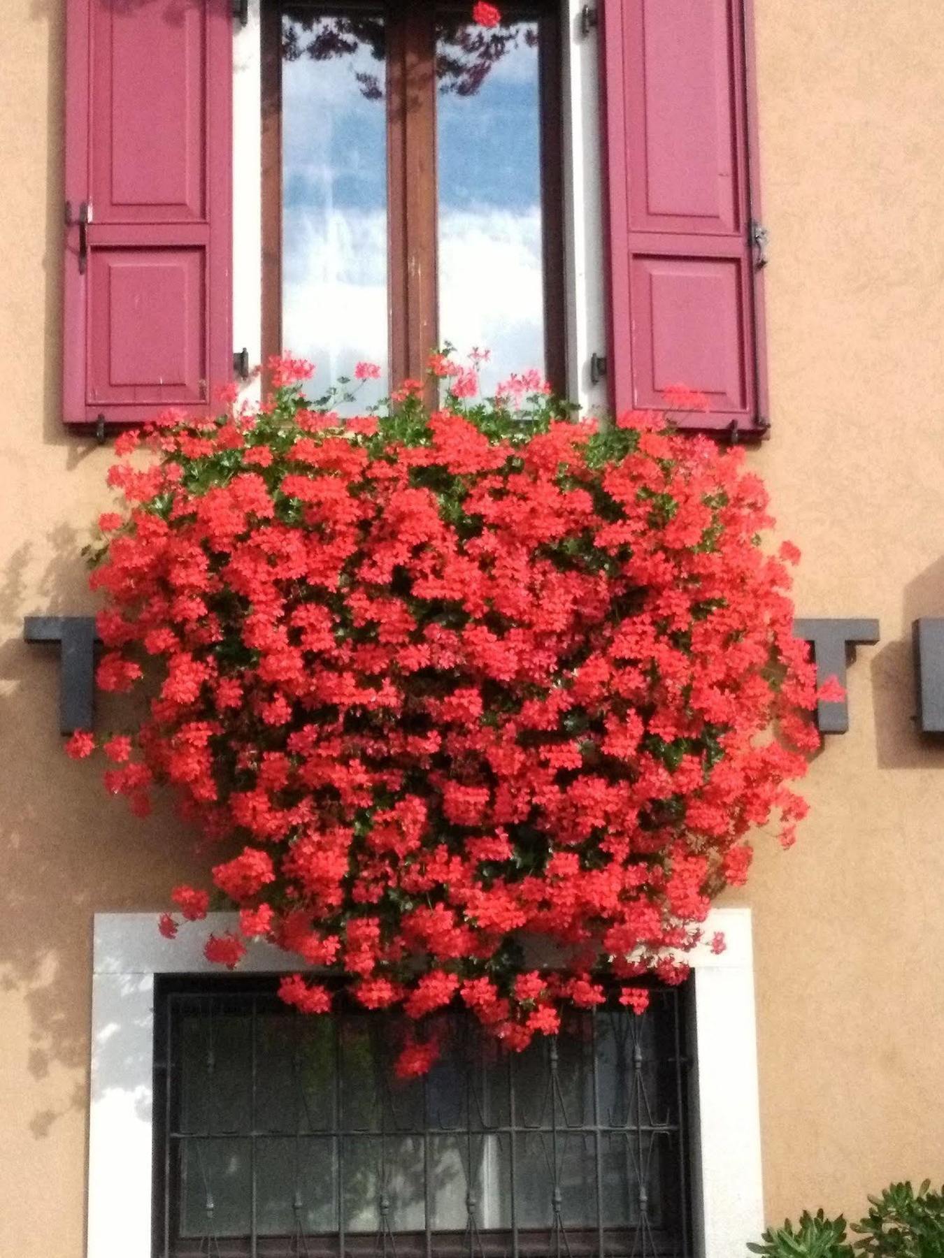 Hotel San Giorgio Удине Экстерьер фото